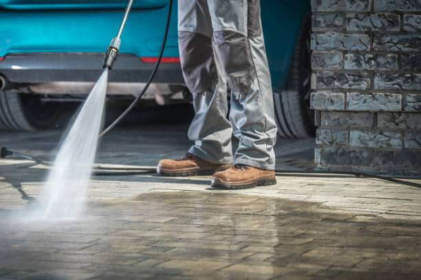 Best Dumpster Area Cleaning  in Graysville, TN